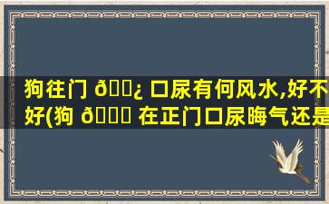 狗往门 🌿 口尿有何风水,好不好(狗 🐎 在正门口尿晦气还是吉利)